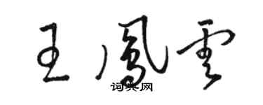 駱恆光王鳳雲草書個性簽名怎么寫