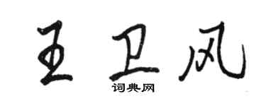 駱恆光王衛風行書個性簽名怎么寫