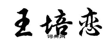 胡問遂王培戀行書個性簽名怎么寫