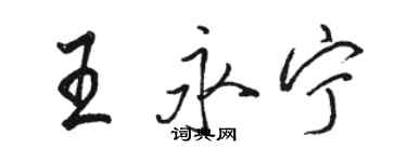 駱恆光王永寧行書個性簽名怎么寫