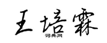 王正良王培霖行書個性簽名怎么寫