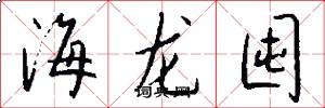 海龍囤怎么寫好看