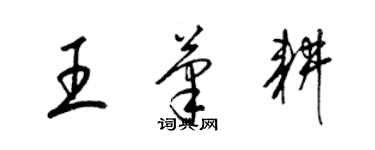 梁錦英王筆耕草書個性簽名怎么寫