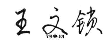 駱恆光王文鎖行書個性簽名怎么寫