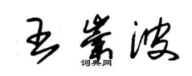 朱錫榮王崇波草書個性簽名怎么寫