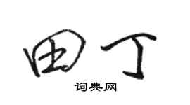 駱恆光田丁行書個性簽名怎么寫