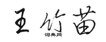 駱恆光王竹苗行書個性簽名怎么寫