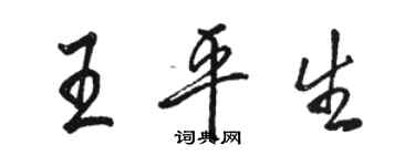 駱恆光王平生行書個性簽名怎么寫