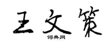 曾慶福王文策行書個性簽名怎么寫