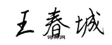 王正良王春城行書個性簽名怎么寫