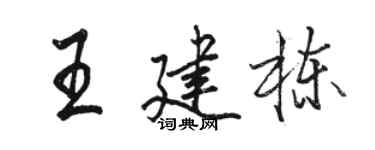駱恆光王建棟行書個性簽名怎么寫