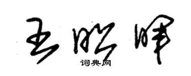 朱錫榮王昭暉草書個性簽名怎么寫