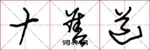 朱錫榮十善道草書怎么寫