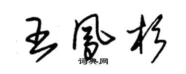 朱錫榮王鳳杉草書個性簽名怎么寫