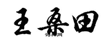 胡問遂王桑田行書個性簽名怎么寫