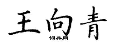 丁謙王向青楷書個性簽名怎么寫