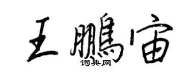 王正良王鵬宙行書個性簽名怎么寫