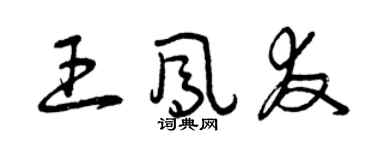 曾慶福王鳳友草書個性簽名怎么寫
