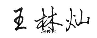 駱恆光王林燦行書個性簽名怎么寫