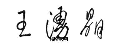 駱恆光王涌晶草書個性簽名怎么寫
