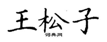 丁謙王松子楷書個性簽名怎么寫