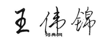 駱恆光王偉錦行書個性簽名怎么寫