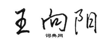 駱恆光王向陽行書個性簽名怎么寫
