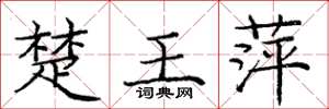 龐中華楚王萍楷書怎么寫