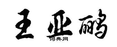 胡問遂王亞鸝行書個性簽名怎么寫