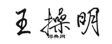 駱恆光王操明行書個性簽名怎么寫