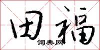 田福怎么寫好看