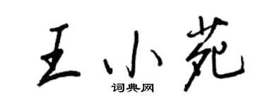 王正良王小苑行書個性簽名怎么寫