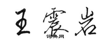 駱恆光王震岩行書個性簽名怎么寫