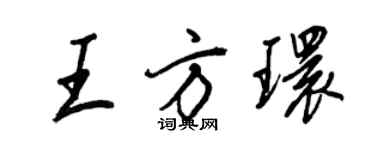 王正良王方環行書個性簽名怎么寫