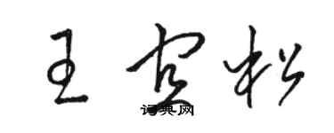 駱恆光王宜松草書個性簽名怎么寫