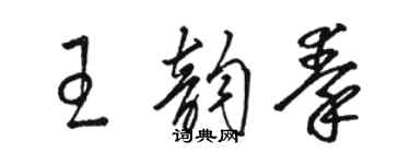 駱恆光王韻秦草書個性簽名怎么寫