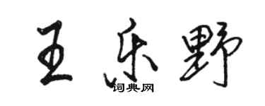 駱恆光王樂野行書個性簽名怎么寫