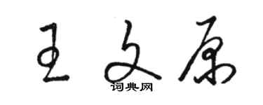 駱恆光王文原草書個性簽名怎么寫