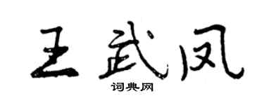 曾慶福王武鳳行書個性簽名怎么寫