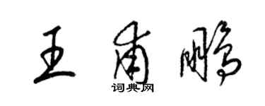梁錦英王甫鵬草書個性簽名怎么寫