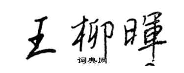 王正良王柳暉行書個性簽名怎么寫