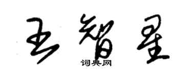 朱錫榮王智星草書個性簽名怎么寫