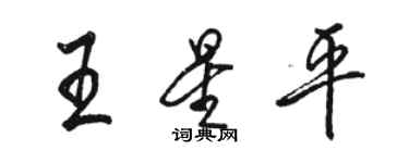 駱恆光王星平行書個性簽名怎么寫