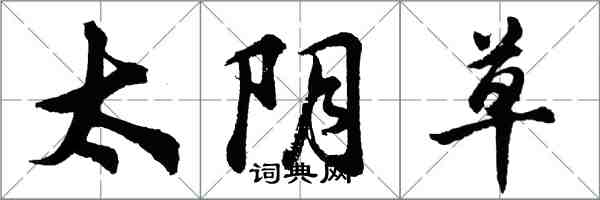 胡問遂太陰草行書怎么寫