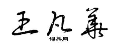 曾慶福王凡華草書個性簽名怎么寫