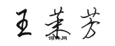 駱恆光王茉芳行書個性簽名怎么寫