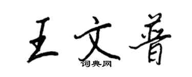 王正良王文普行書個性簽名怎么寫