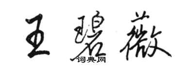 駱恆光王碧薇行書個性簽名怎么寫