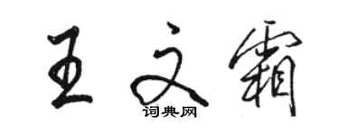 駱恆光王文霜行書個性簽名怎么寫