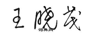 駱恆光王曉茂草書個性簽名怎么寫